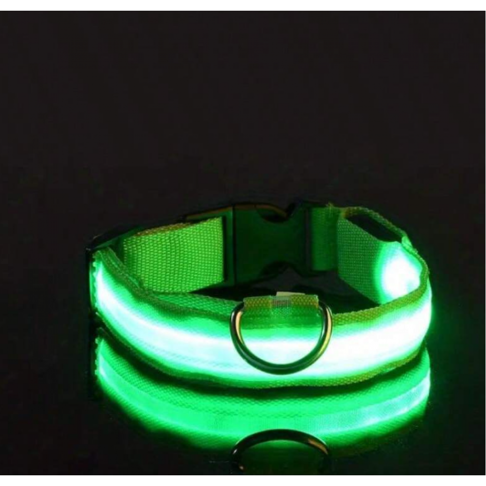 Περιλαίμιο led που λάμπει στο σκοτάδι (38.1cm-45cm) - Πράσινο